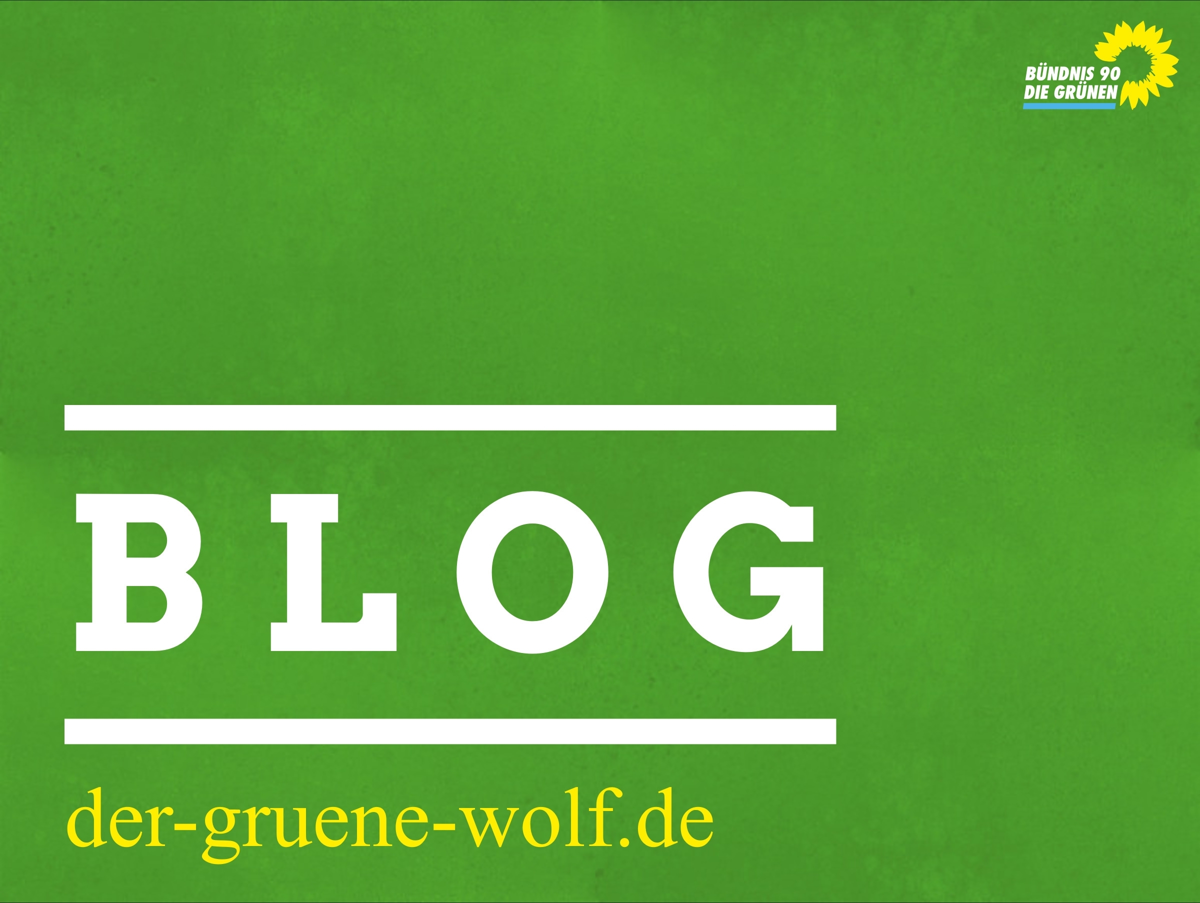 Blog Der grüne Wolf für Düsseldorf
