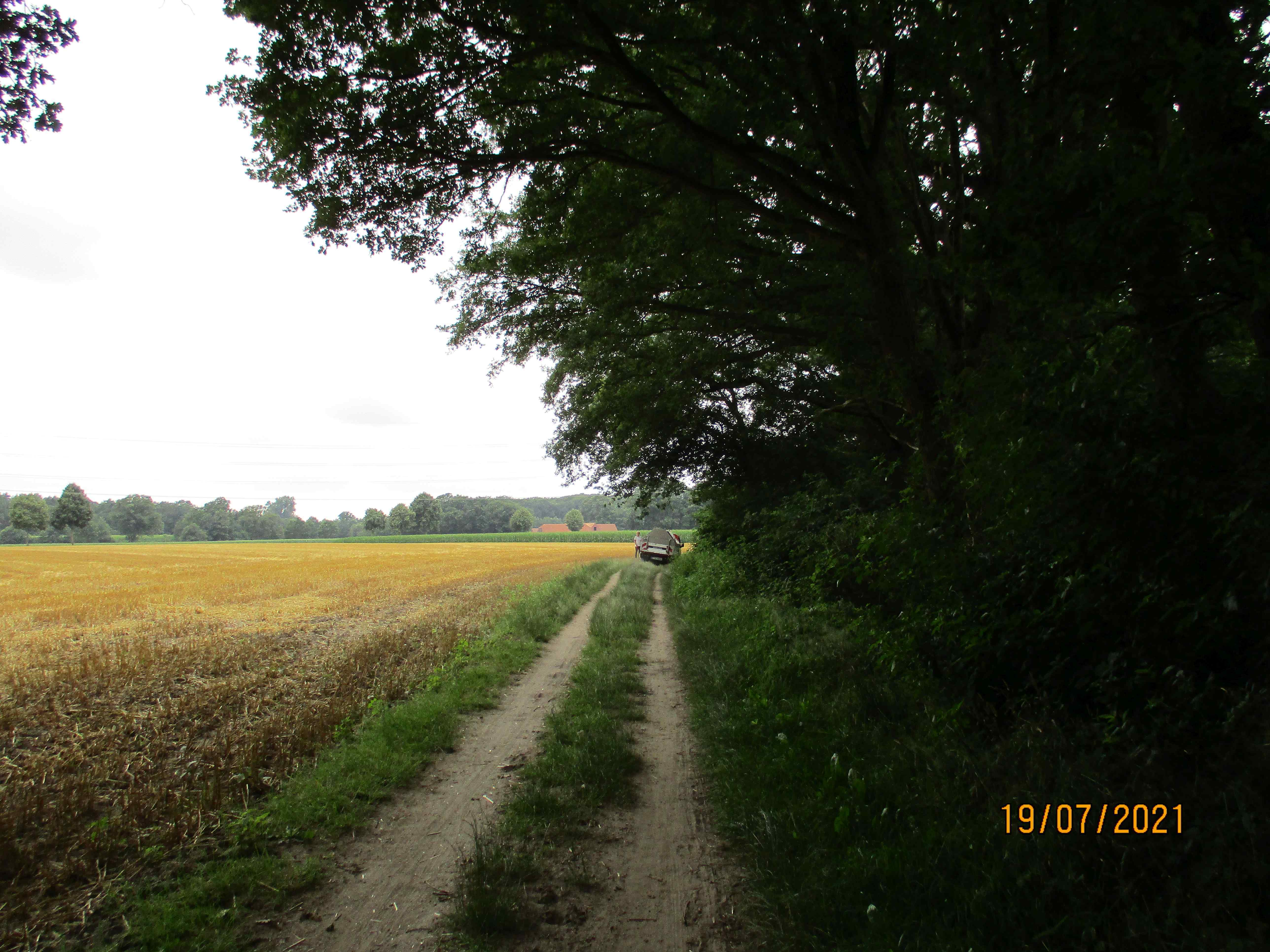 EmsRadweg Tobias Müllfahrzeug vorraus Emsdetten